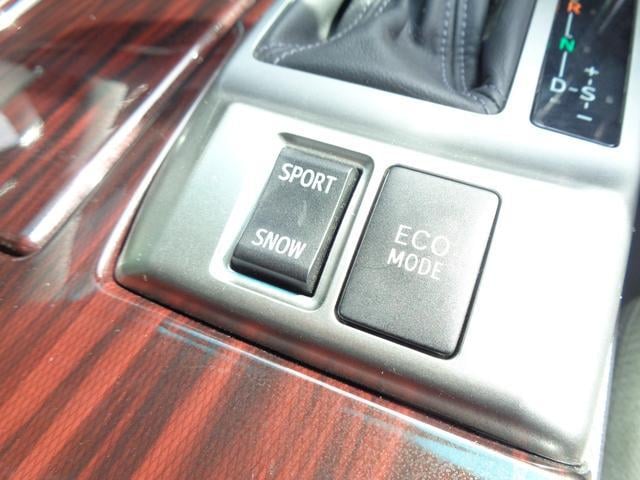 0403383A30251003W00314.jpg