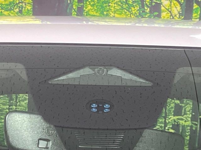 bd352f5843acb9219fb59afb1a023270.jpg