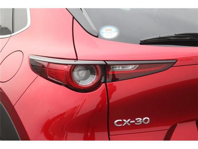 e30d2b81b4dadffcae2a453d089ae86f.jpg