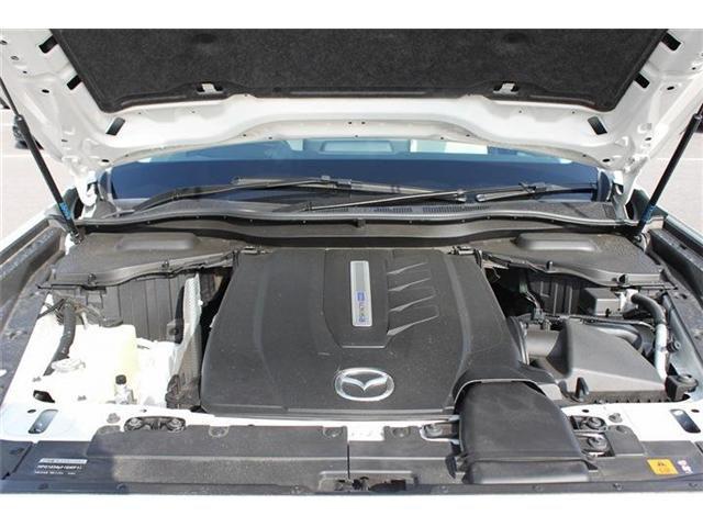 8216e992564e84fc9b66f843a11b7085.jpg