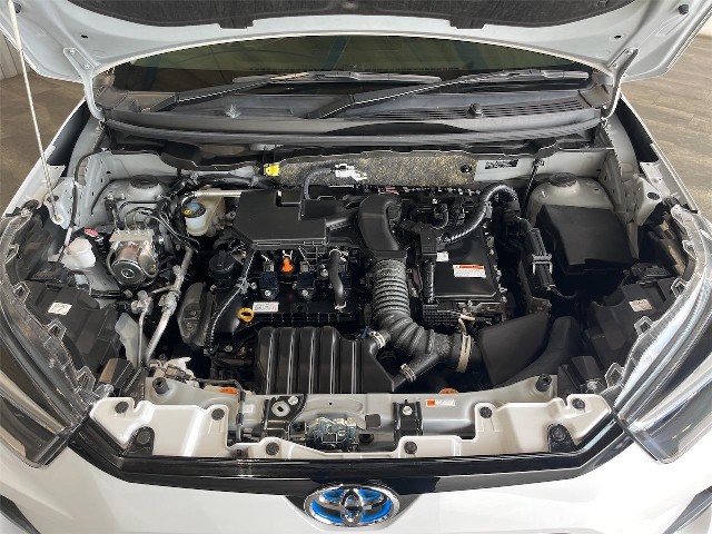 77873fd339994aad1f6ccc282ef51388.jpg