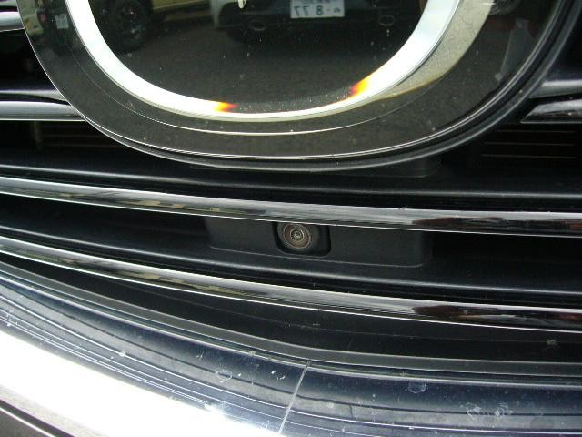 1020094A30260904W00115.jpg