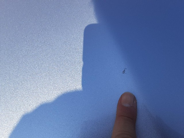 c88f474ee451f66a7e28aeaae727773e.jpg