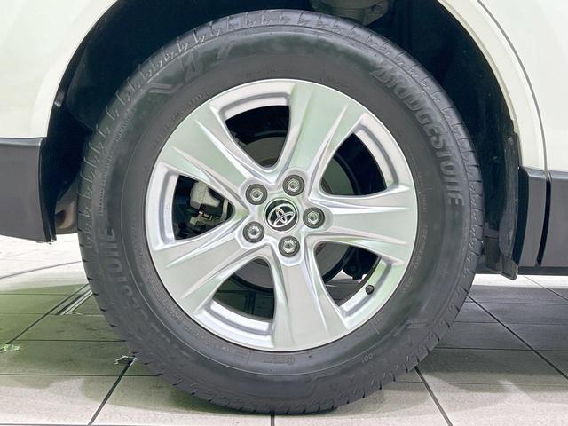 fabb1ae476abe3fc1283f875ef652782.jpg