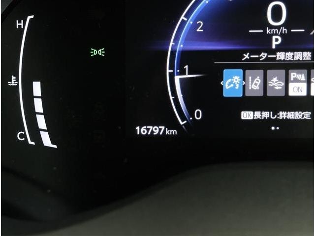 0202274A30260928W01109.jpg