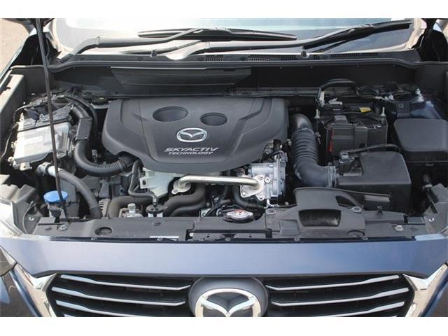 c6243b2e1db371448b06dfa38c31ce7a.jpg
