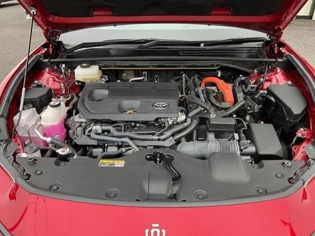 dc57a559e3202d54d4dfe090b5d877ee.jpg