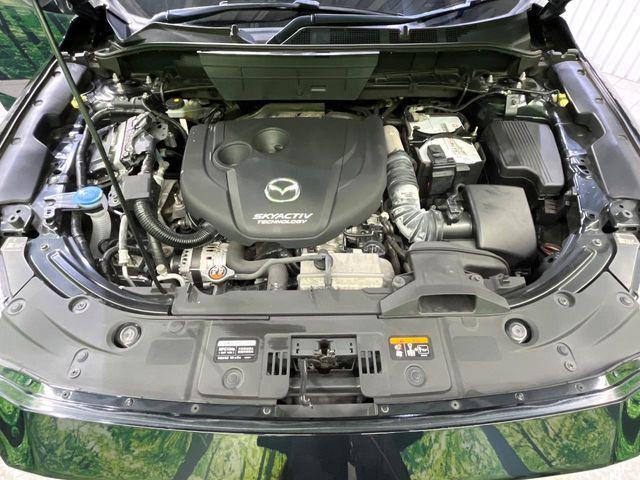 713f87a4ccf39370eafd8e612d7db536.jpg