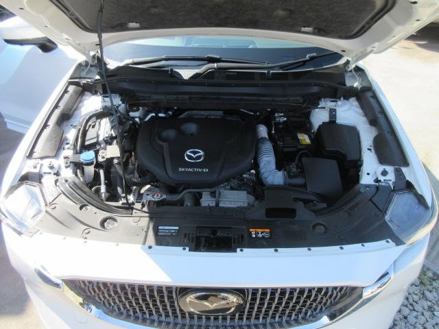 0561088A30261008W00218.jpg
