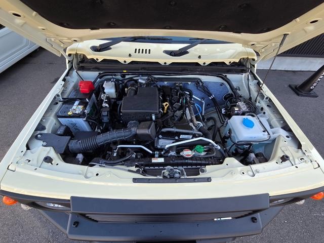 0310535A30260925W00119.jpg