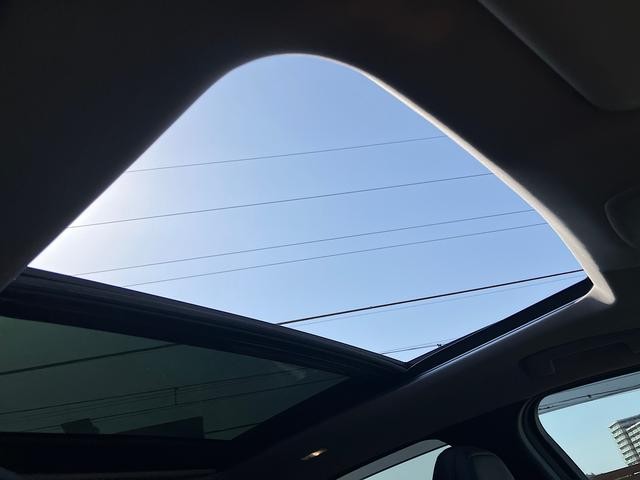 0708553A30260306W00116.jpg