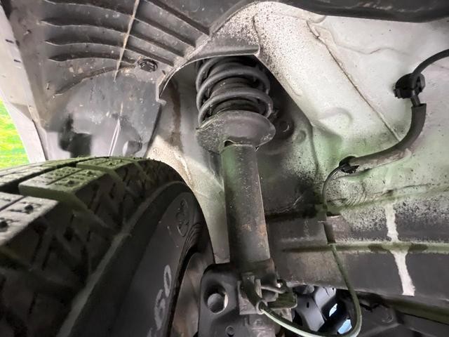 27032088_carP_l_20.jpg
