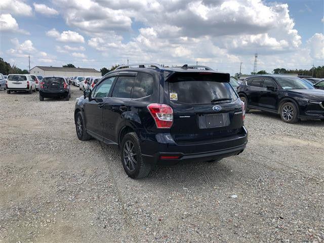 05.jpg
