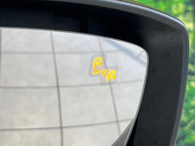 27072473_carP_l_14.jpg