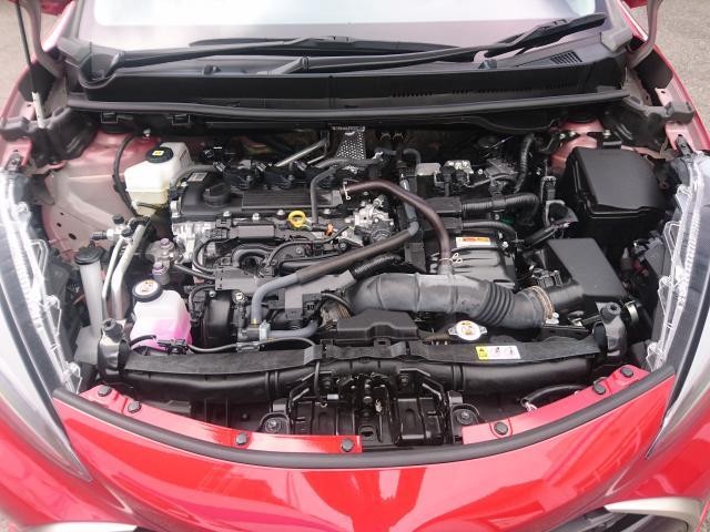26667371_carP_l_17.jpg