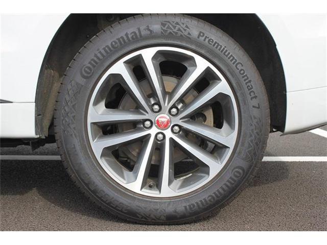 2e95c063ddcb9dd7500aa2981a35d328.jpg