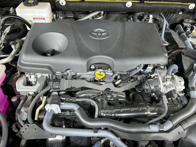 a10783ee128e0aee832cf927c0091fae.jpg
