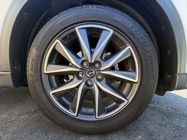 fe4e408ed0280fac0d028a45f54cc243.jpg