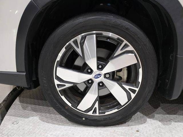 a1cb12ec83cf69b05f12960f011eca82.jpg