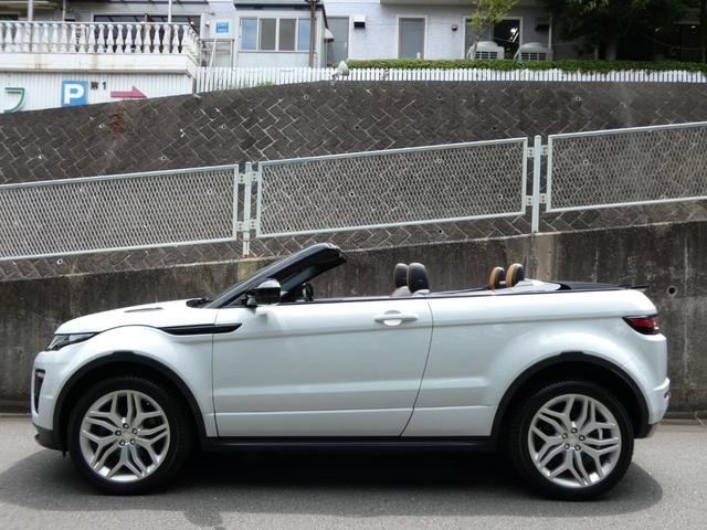 9510164A30260728W00101.jpg