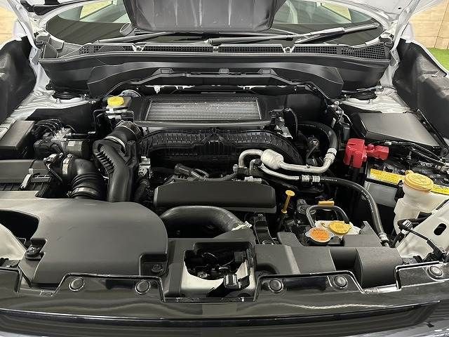 456c60d1fc9009139851a38e94c91520.jpg