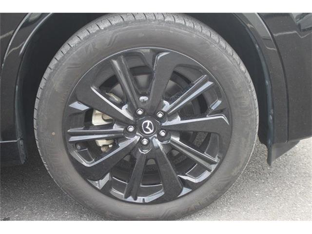 182803790d98cdbc4bf8b73b3cd07cd5.jpg