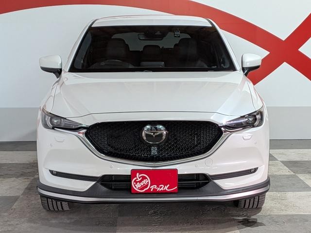 0903185A30261018W00415.jpg