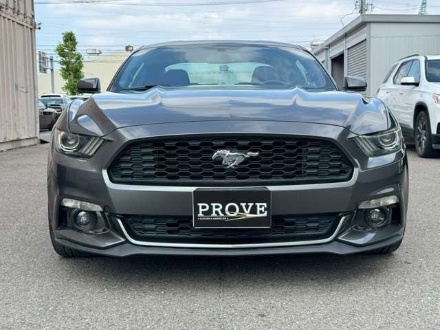 93a49365ee3f8ac1c2eb1040c498f176.jpg