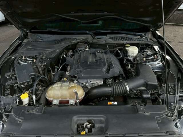 c3835eeb27ebba54f10de8d036036cb9.jpg