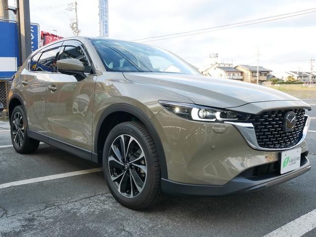 0600259A20261008W00101.jpg