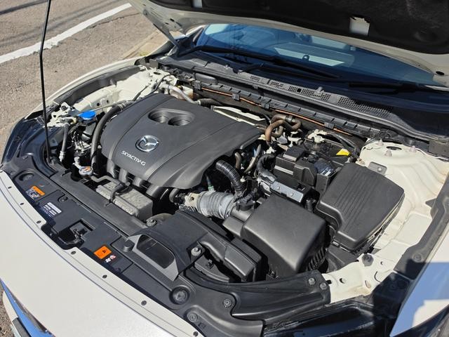 0209345A30261008W00119.jpg