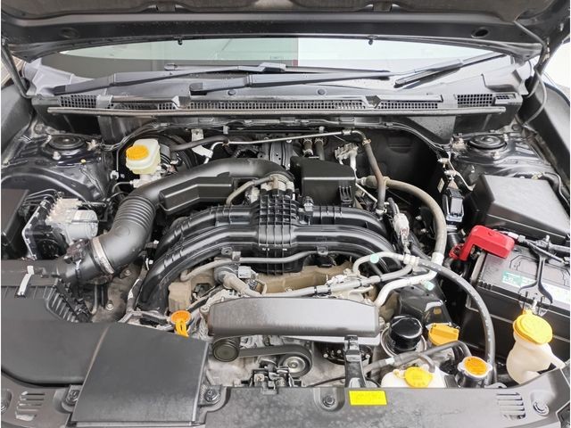 1e5812fa17703b7fdb11d5ad2361afac.jpg
