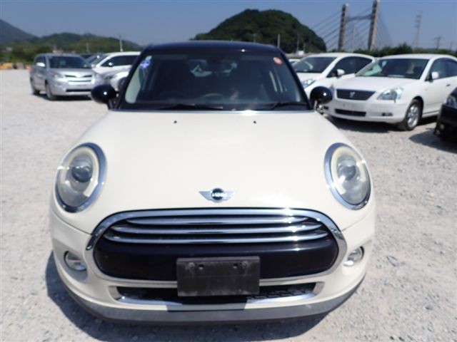 28.jpg
