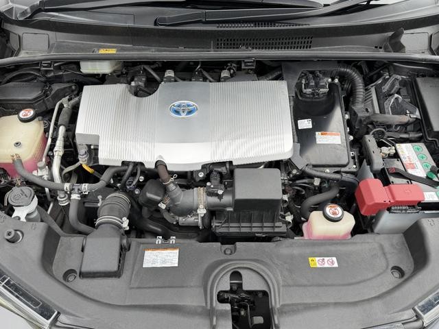 0805164A30260902W00319.jpg