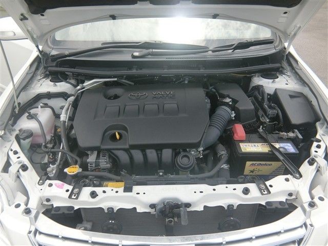 08.jpg