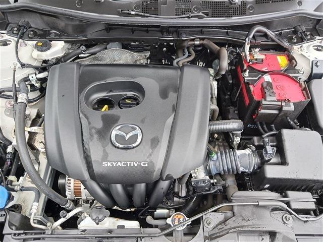 f7a12135cfff463f787e42d189e93aa1.jpg