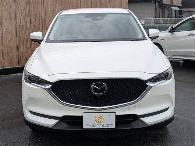 495ef640ce8d8286244fcf68cb7744ba.jpg