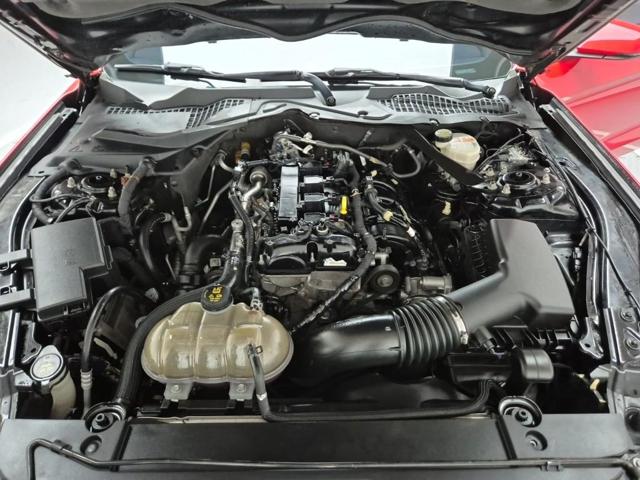5061000474R5.jpg