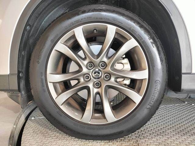 781b26e592a725dda45b192867545982.jpg