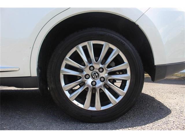 f1150c85858126695ca6d8d5afbd7238.jpg