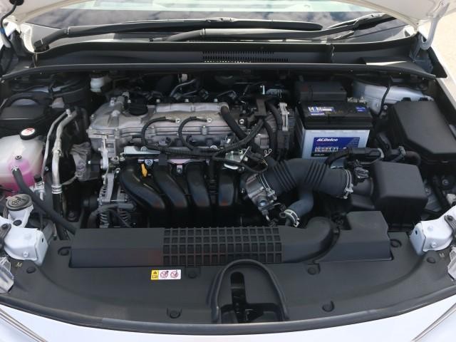 27077761_carP_l_17.jpg