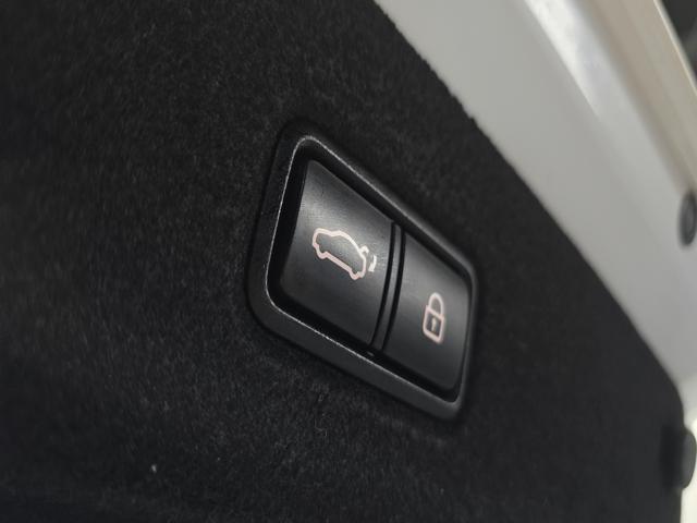 c316b732194e090421d0df1c9506a2d2.jpeg