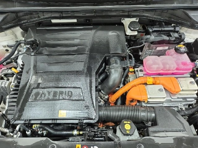 6081000562R5.jpg