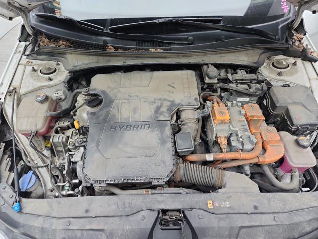 lotterental_20560955_e99hL_6.jpg