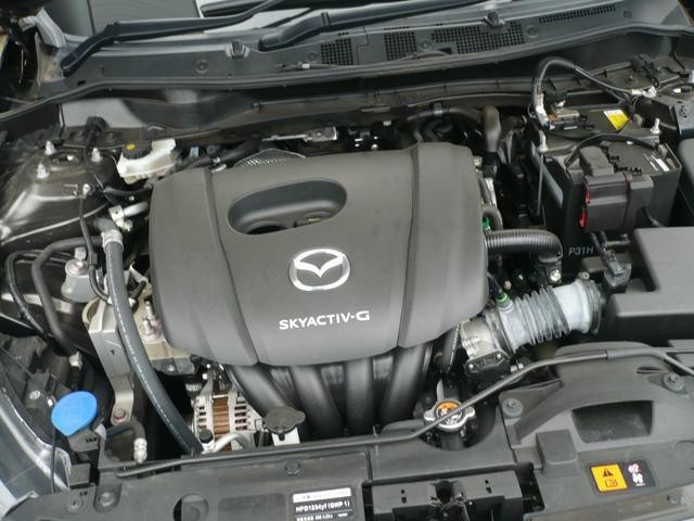 bf373e1afa0019a44c0cba2449e8f247.jpg
