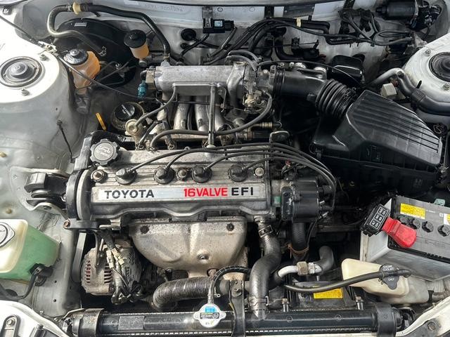 0561562A30261009W00416.jpg