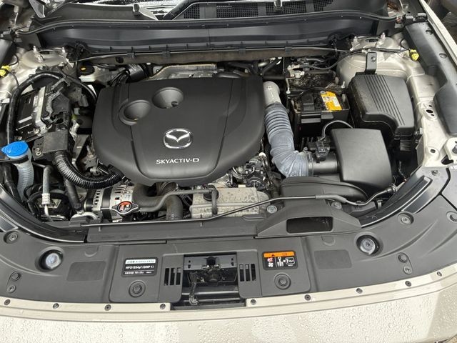 d2bda14209a5f27739e29083270363b0.jpg