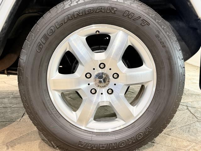 26667617_carP_l_19.jpg