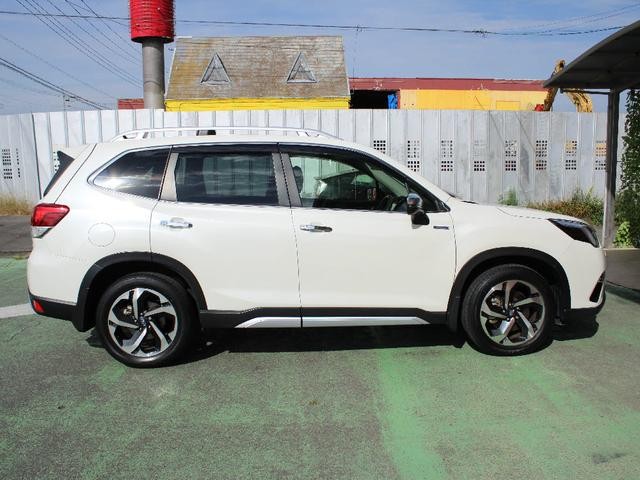 0403435A30261026W00406.jpg