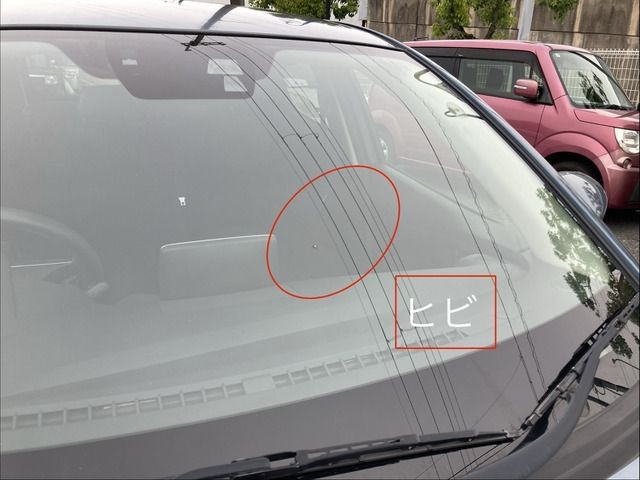 bfe78a44fa1a4a68851cc7255d88c026.jpg